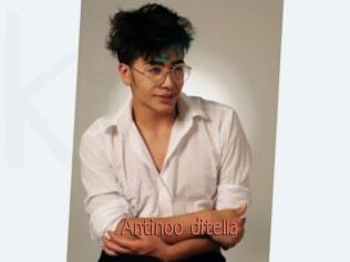 Antinoo_ditella