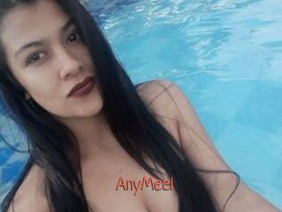 AnyMeel