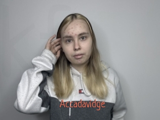 Accadavidge