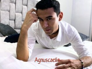 Agnuscaelie