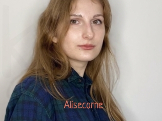 alisecorne Kachou Fuzoku
