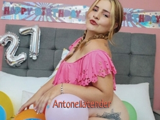 Antonellatender