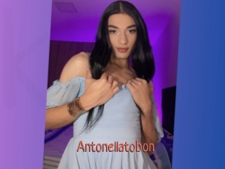 Antonellatobon