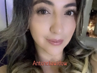 Antonellawidow