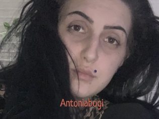 Antoniabogi