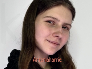 antoniaharrie Kachou Fuzoku