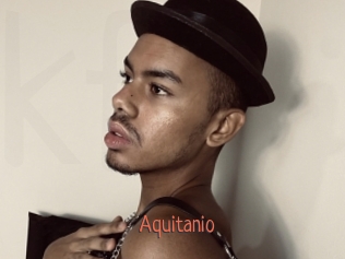 Aquitanio
