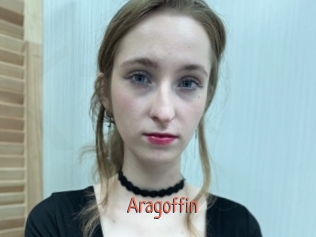 aragoffin Kachou Fuzoku