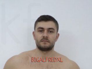BIGALFREDXL