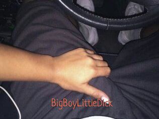 BigBoyLittleDick