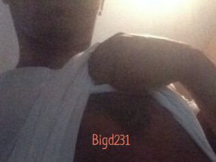 Bigd231