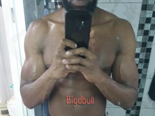 Bigdbull