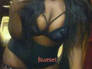 Bluvelvet