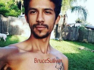 Bruce_Sullivan