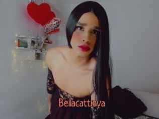 Bellacattleya