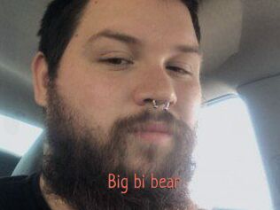 Big_bi_bear