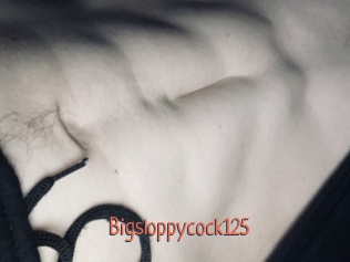 Bigsloppycock125