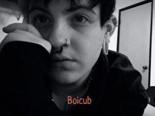 Boicub