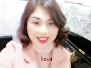 Bosai