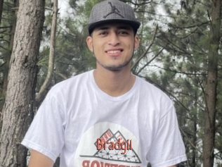 Bradgil