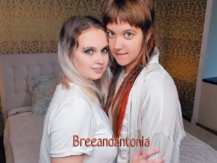 Breeandantonia