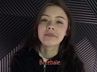 Breebaile