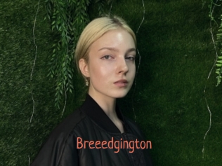 Breeedgington