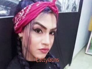 cattylatins Kachou Fuzoku