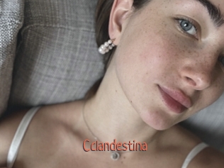 Cclandestina