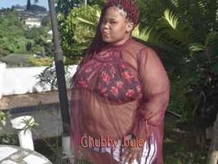 Chubby_bule