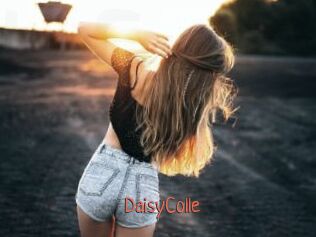 DaisyColle