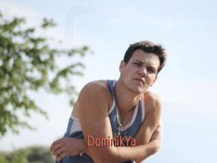DominikYa