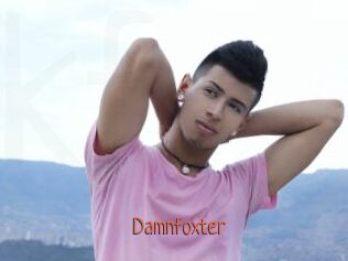 Damnfoxter