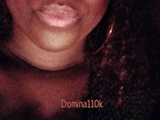 Domina110k