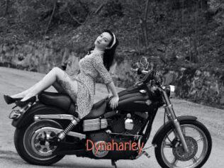 Dynaharley