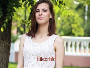 Ellieorhid