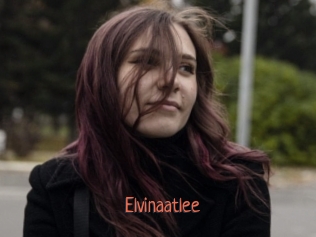 Elvinaatlee