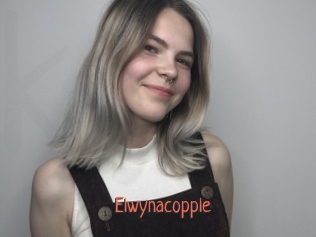 Elwynacopple