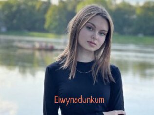 Elwynadunkum