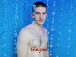 Felixgunn