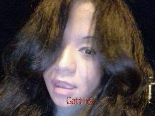 Gattina