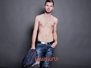 GavinNorth