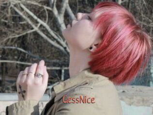 GessNice