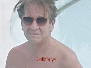 Galloboy4