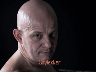 Gaylekker