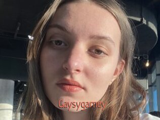 Gaysygarney