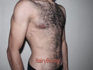 HairyBunny