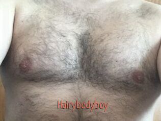 Hairybodyboy