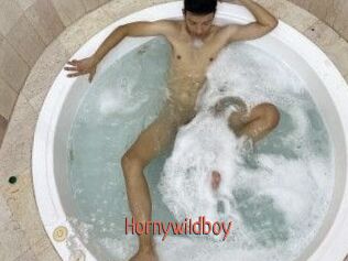 Hornywildboy