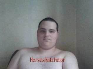 Horsesbatchelor